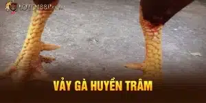 Vảy huyền trâm