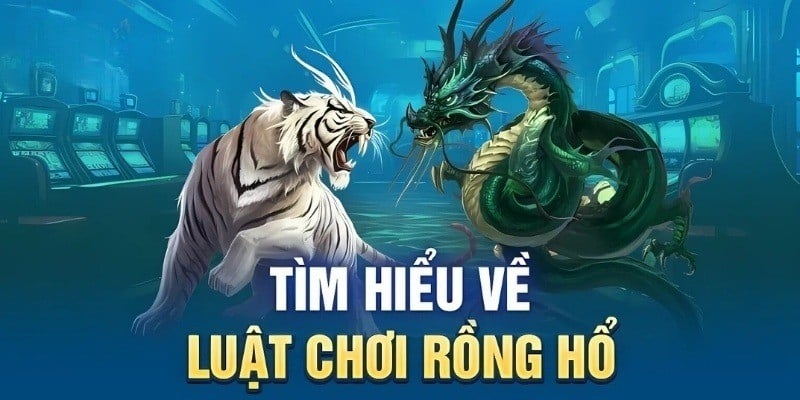 Hướng dẫn cách chơi